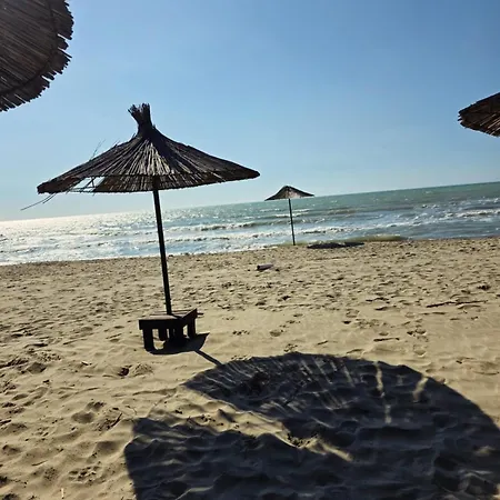 Sea Nest Retreat